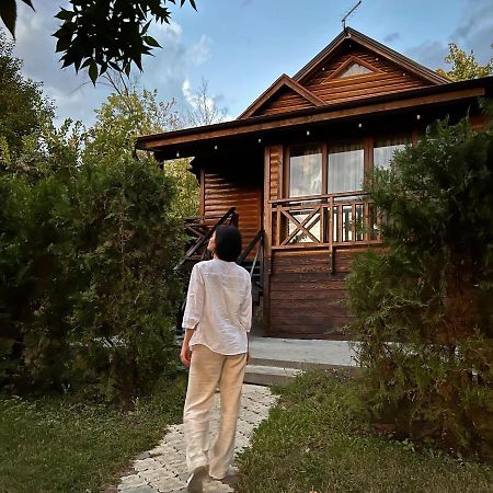 Poiana Bradului Complex Hotelier & Restaurant Colonita Eksteriør bilde